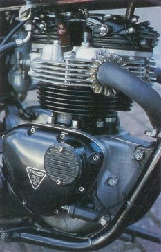1981 - TR 65 650cc Thunderbird
