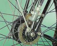 Triumph Riccy