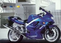 2002 Triumph TT600