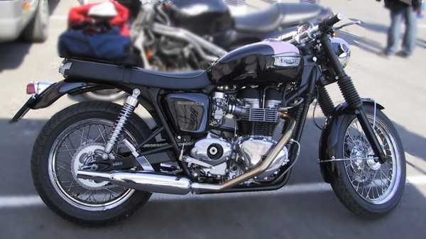 Triumph Bonneville Rosa Cafè Racer Talamo