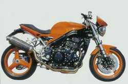 Triumph Speed Triple S Pettinari