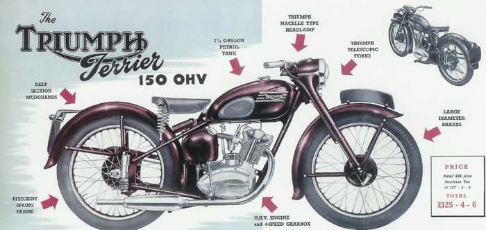 Triumph Terrier