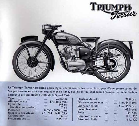 Triumph Tiger Terrier