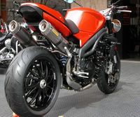 Special Speed Triple Triumph