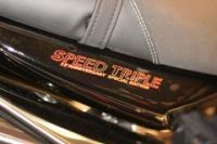 Triumph Speed Triple SE 15th Anniversary 1994-2009