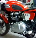 Special Triumph Thruxton