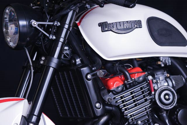 Triumph Thunderbird Sport Tridays di Uli Bre