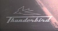 2009 Triumph Video Thunderbird