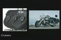 2007 Triumph Video Accessori