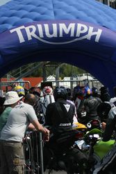 2009 Triumph Day