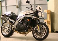 Speed Triple di Trident Special