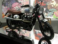 2009 Triumph Tpr Urban Scrambler