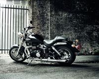 2010 Triumph Wallpaper