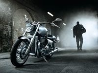 2010 Triumph Wallpaper