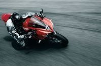 2009 Triumph Wallpaper