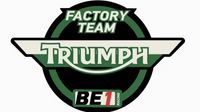 2010 Triumph Video