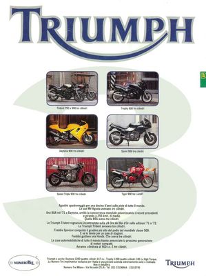 Numero Tre Triumph - Numerotre