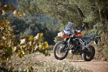 2010 Triumph Tiger 800 e Tiger 800XC