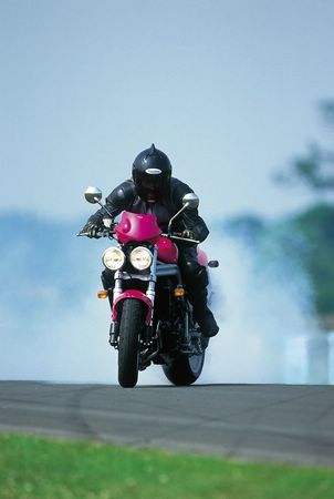 2001 Triumph Speed Triple 955i