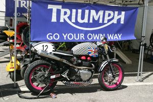 2006 Triumph Thruxton Cup