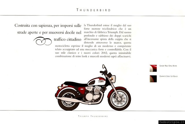 2002 Triumph Thunderbird 900