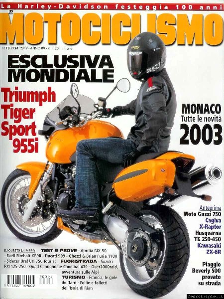 2002 triumph tiger sport Carlo Talamo
