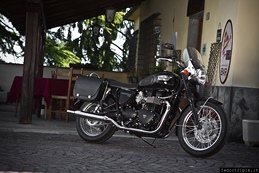 2012 Triumph Italia presentazione Classiche