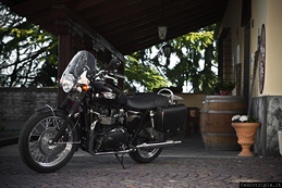 2012 Triumph Italia presentazione Classiche