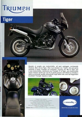 1999 Pubblicità Triumph Numero Tre Tiger
