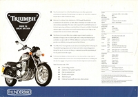 1999 Triumph Thunderbid