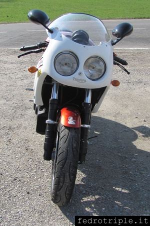 Triumph Special - Speed Triple Ray Pickrell Tribute