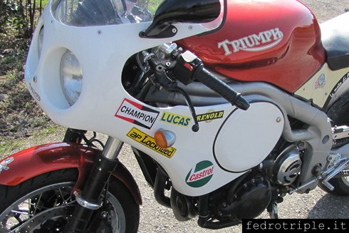 Triumph Special - Speed Triple Ray Pickrell Tribute