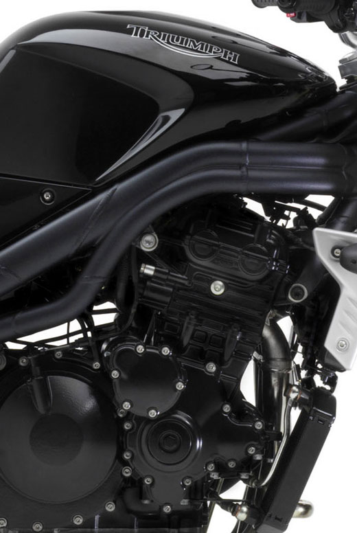 TriumphSpeedTriple2005-5819-060-f.jpg (64860 bytes)
