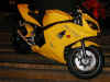 Daytona650Gialla_2005_.jpeg (31545 bytes)