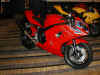 Daytona650Rossa_2005_.jpeg (43344 bytes)
