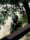 Speedgastaldo17may2003_50.jpg (81874 bytes)