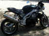 IMGP5055_.JPG (60785 byte)