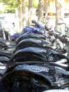 IMGP5057_.JPG (63383 byte)