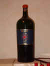 IMGP5127_.JPG (22552 byte)