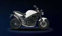 2008 Triumph Speed Triple Cartella Stampa