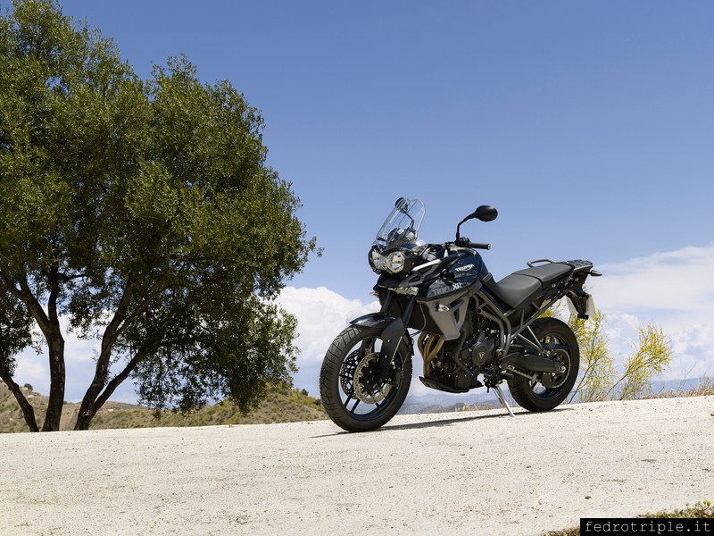 2014 - Nuova Triumph Tiger 800 XR (MY2015)