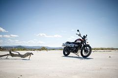 2014 Triumph Scrambler 900 MY2015