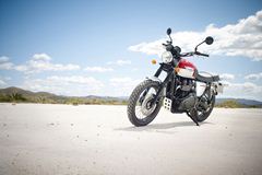 2014 Triumph Scrambler 900 MY2015